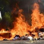 Over $2B in marijuana destroyed