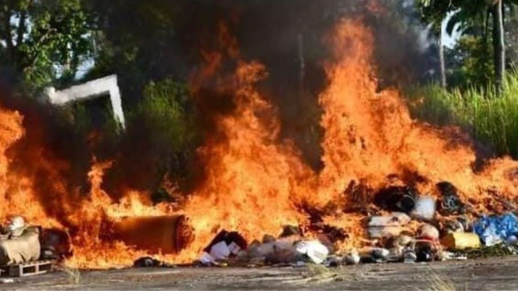 Over $2B in marijuana destroyed