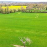 L’avenir de la loi européenne sur la restauration de la nature de nouveau menacé