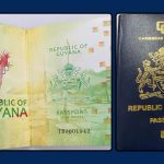 Online passport application portal to launch by year-end