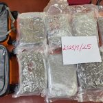 Police seize 8lbs of suspected cannabis in shipment from Florida