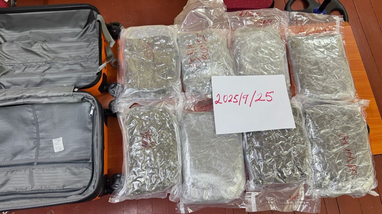 Police seize 8lbs of suspected cannabis in shipment from Florida