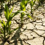 Gov’t helping hinterland farmers manage water challenges better
