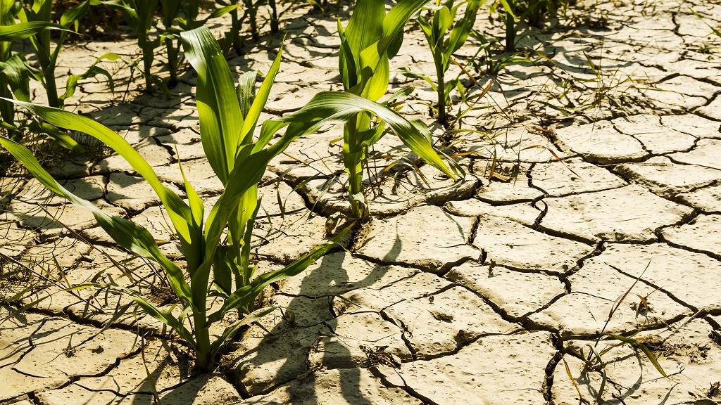 Gov’t helping hinterland farmers manage water challenges better