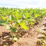 Agri. Month launched with focus on sectoral advancement