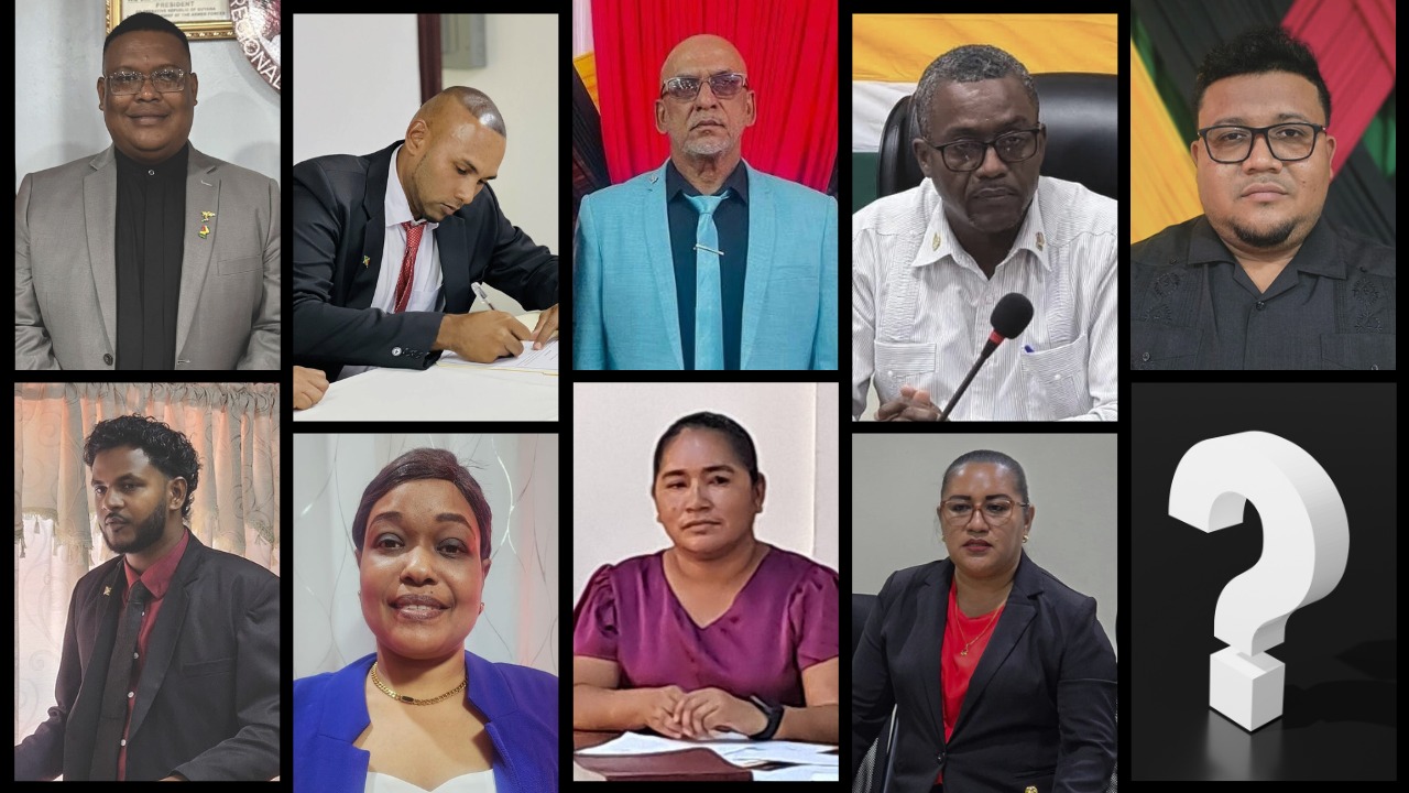 President Ali congratulates newly elected regional reps, urges cooperation for development