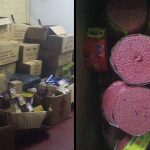 Corriverton woman arrested over large quantity of fireworks at her home