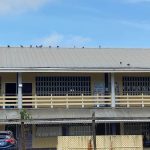 No teacher transferred from BV Primary School – Education Ministry