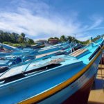 Fishing sector adopts technology to improve surveillance monitoring at sea