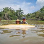 Overfishing of endangered species, microplastics remain threats to fisheries sector