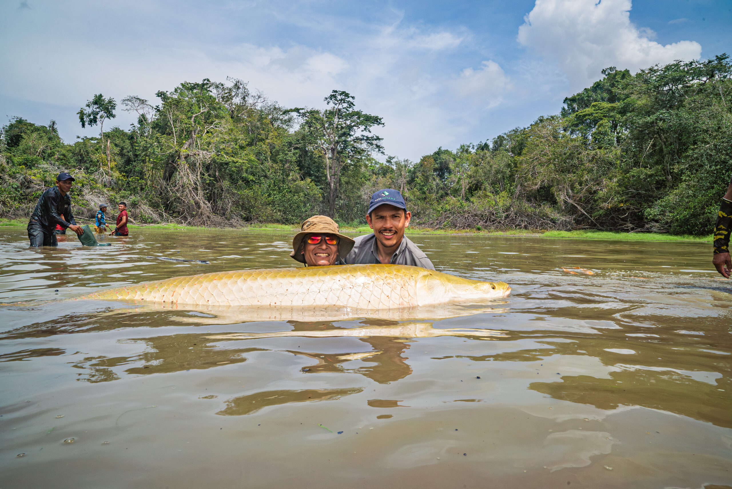 Overfishing of endangered species, microplastics remain threats to fisheries sector