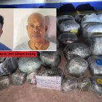 Sears pleads not guilty; remanded to prison for drug trafficking