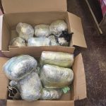 Five men arrested after ganja, cocaine found at Port Kaituma 