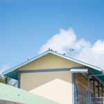 Ministry moves to tackle pigeon infestation at BV, Annandale and Golden Grove schools 