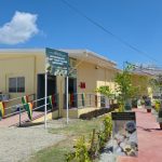 Crop production to increase with new $450 million tissue culture lab