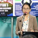 Caribbean states build their own climate finance systems, and look to Guyana’s forest model