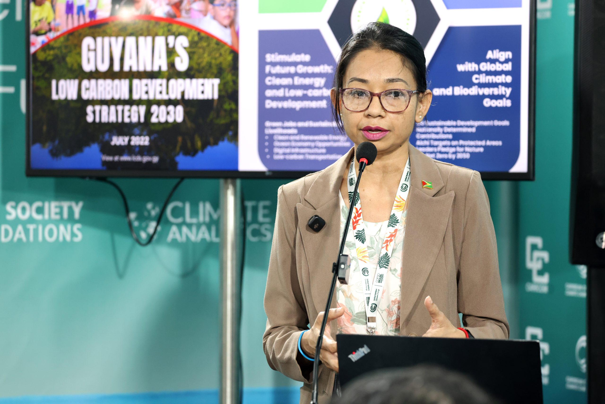 Caribbean states build their own climate finance systems, and look to Guyana’s forest model
