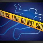 Man, 63, dies in logging incident
