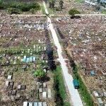 Roads reconstructed, overgrowth removed as major upgrades progress at Le Repentir Cemetery