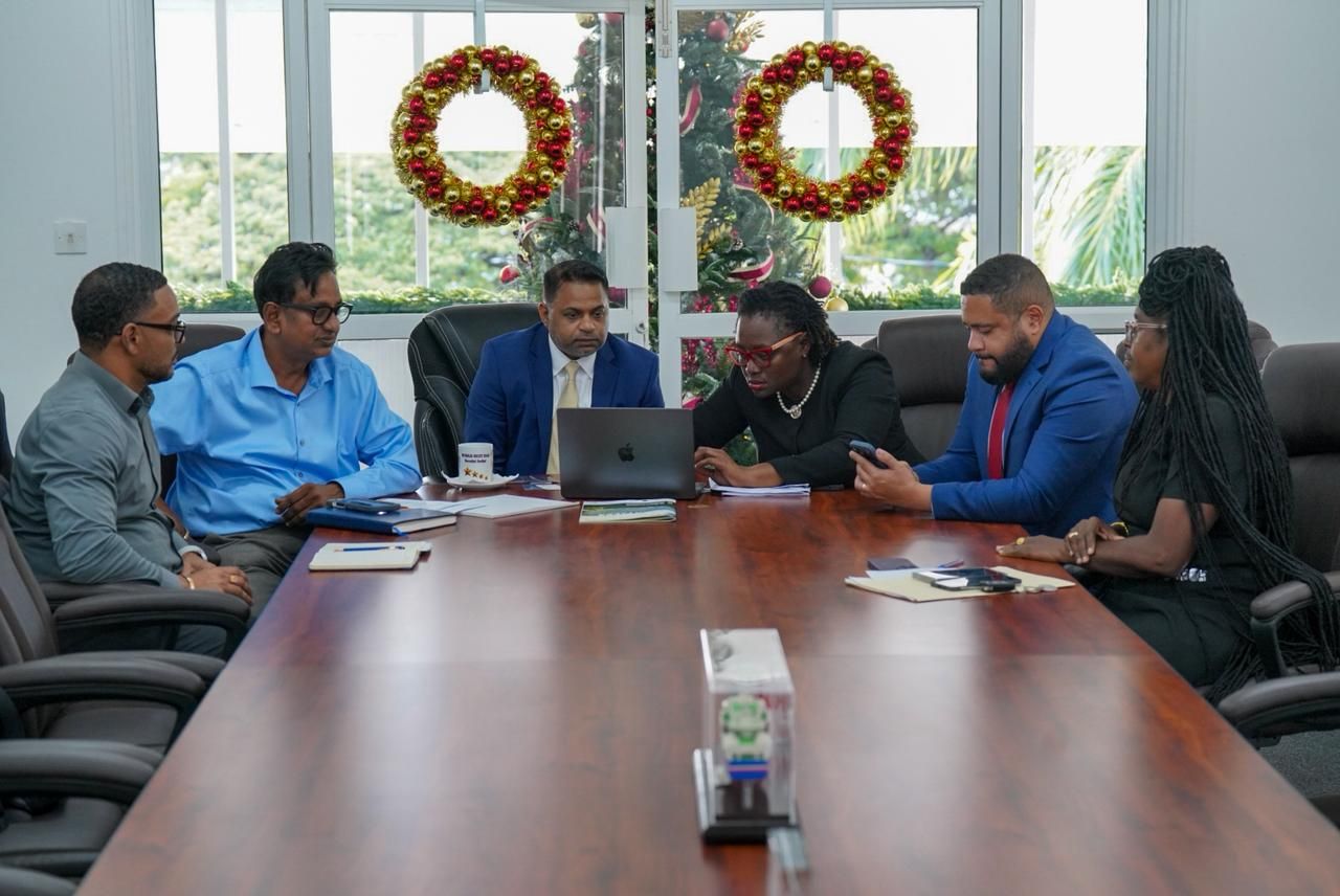 More than 30 teams on standby to deal with any GPL emergencies – Public Utilities Ministry
