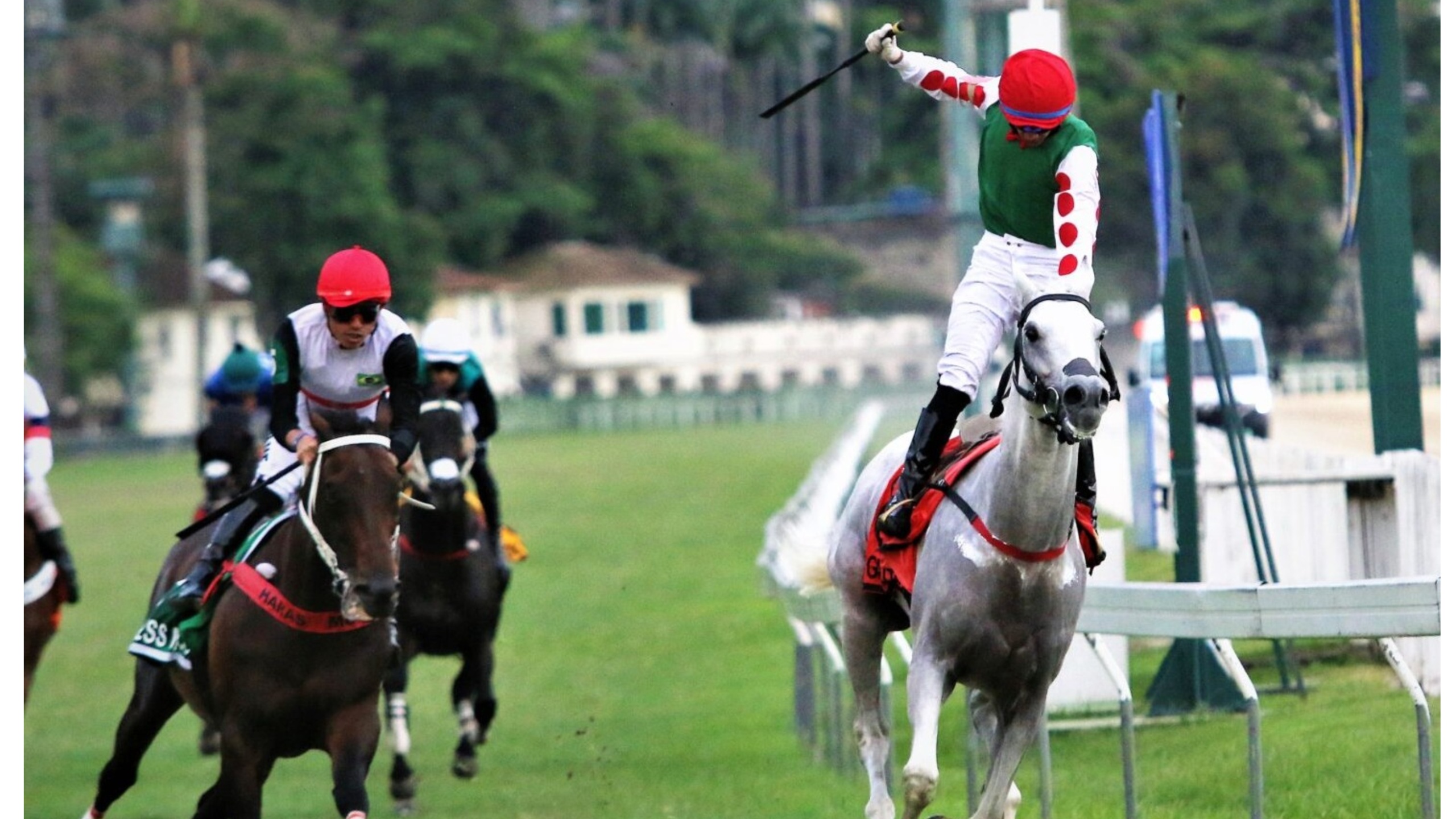 Galo White delivers historic G1 win for Slingerz Racing Stable in Brazil