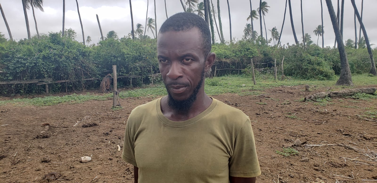 Farmer worried as cows worth millions go missing