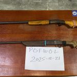 Man jailed after illegal firearms seized in Karasabai 