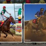 Undefeated champions set for historic showdown at Rising Sun on January 4
