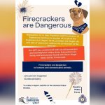 Police in stern warning against private use of fireworks, notes injuries to people; animal group flags trauma to animals
