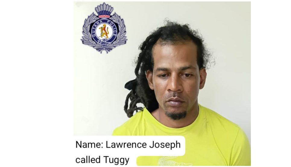 Businessman remanded to prison for unlicensed firearm and ammunition