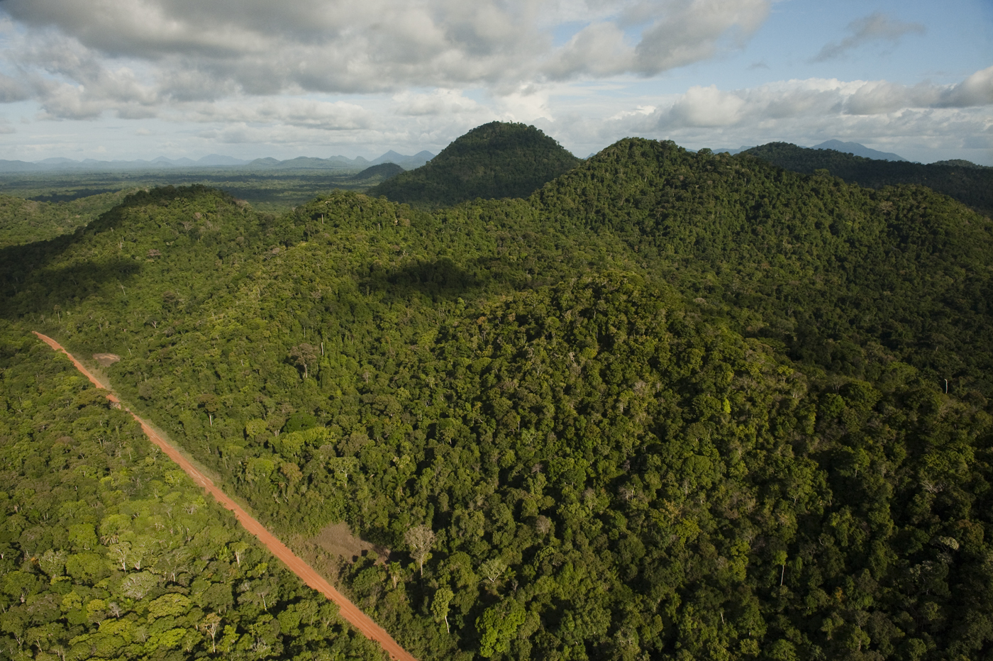 Iwokrama Forest retains coveted Forest Stewardship Council Certification for Forest Management