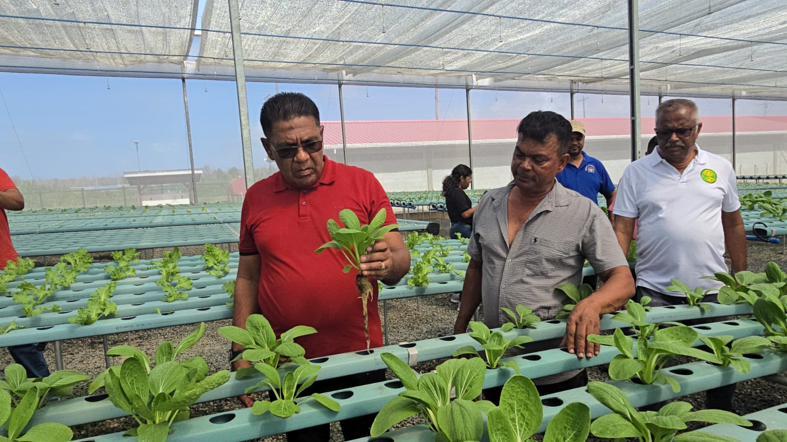 Flagship agricultural projects in Reg. 5 progressing