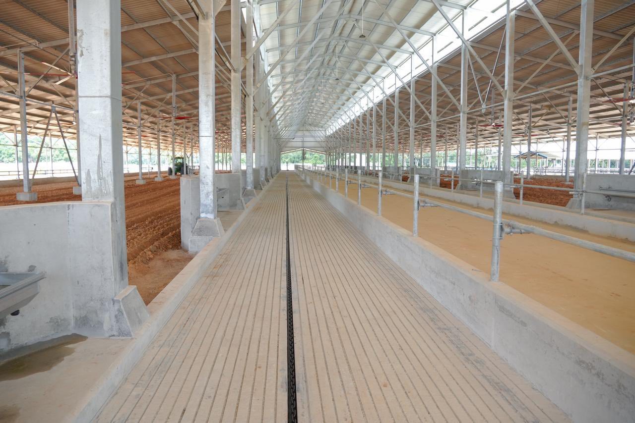 US$20M Demerara Dairies Project on track for mid-2026 fresh milk production