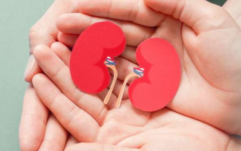More than 100 children battling kidney disease, new grant to boost healthcare