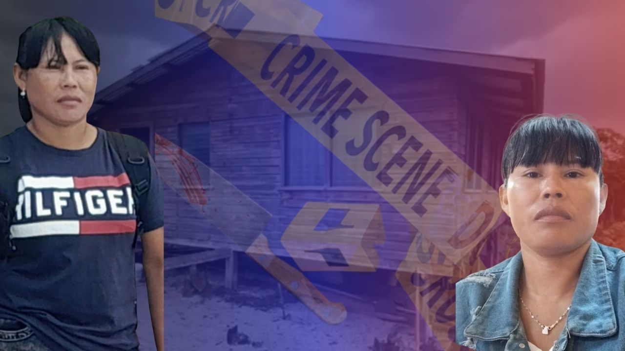 ‘We’ll try to hold them together’- Sisters vow to care for children of young mother murdered at Long Creek