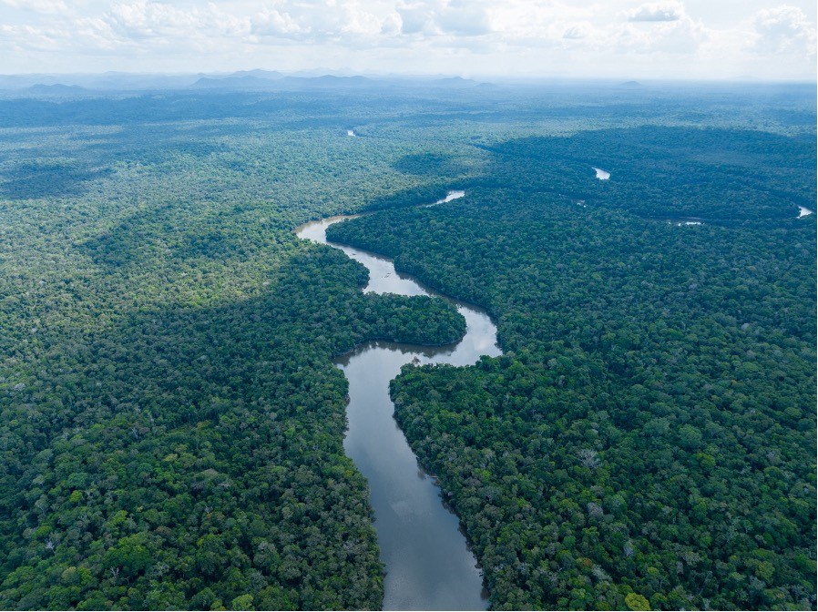 Guyana sold carbon credits to 19 airlines under LCDS framework
