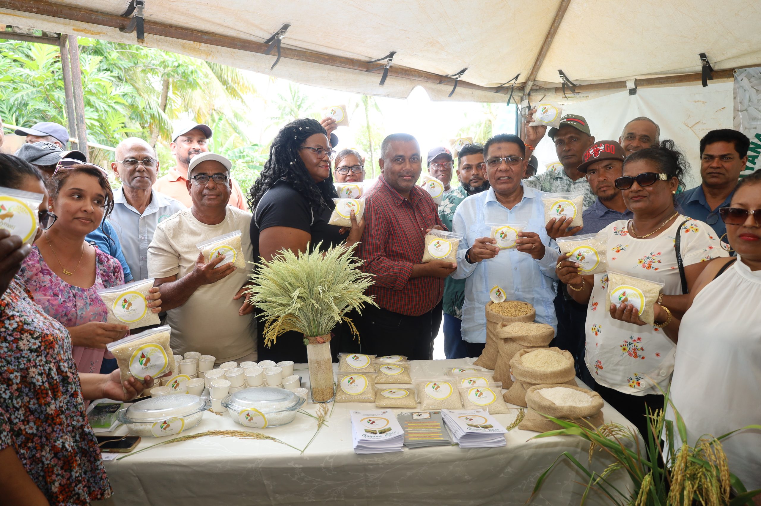 ‘Guymati’- Guyana’s first aromatic rice variety launched