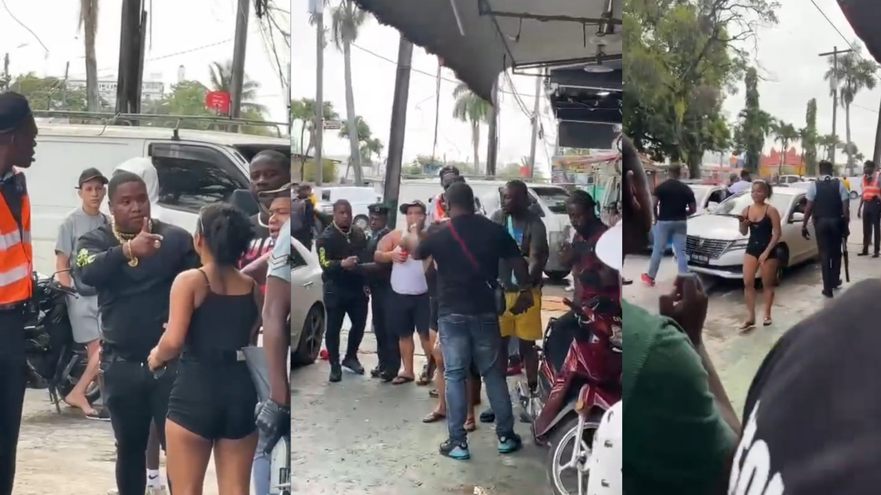 Probe launched after viral video shows off-duty police officer in clash with civilian