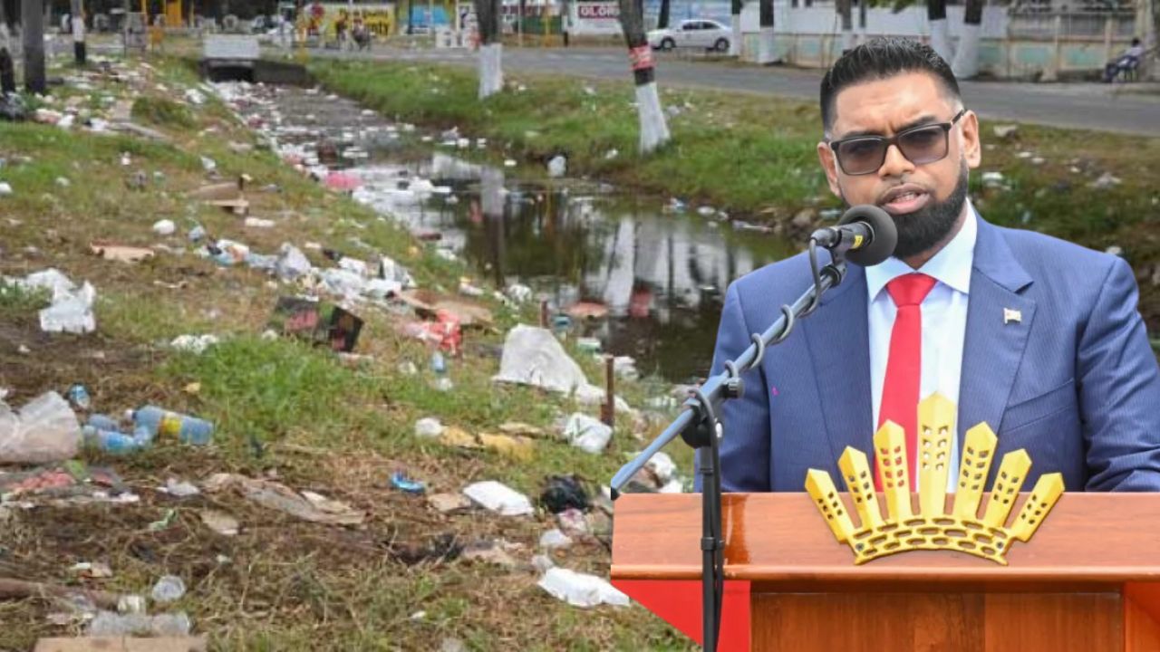 President Ali wants review of littering laws