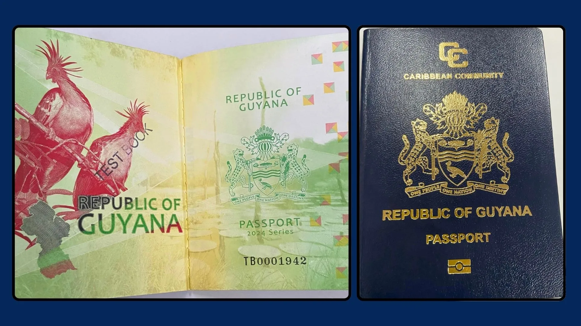 Online Passport applications to roll out within a month- President Ali