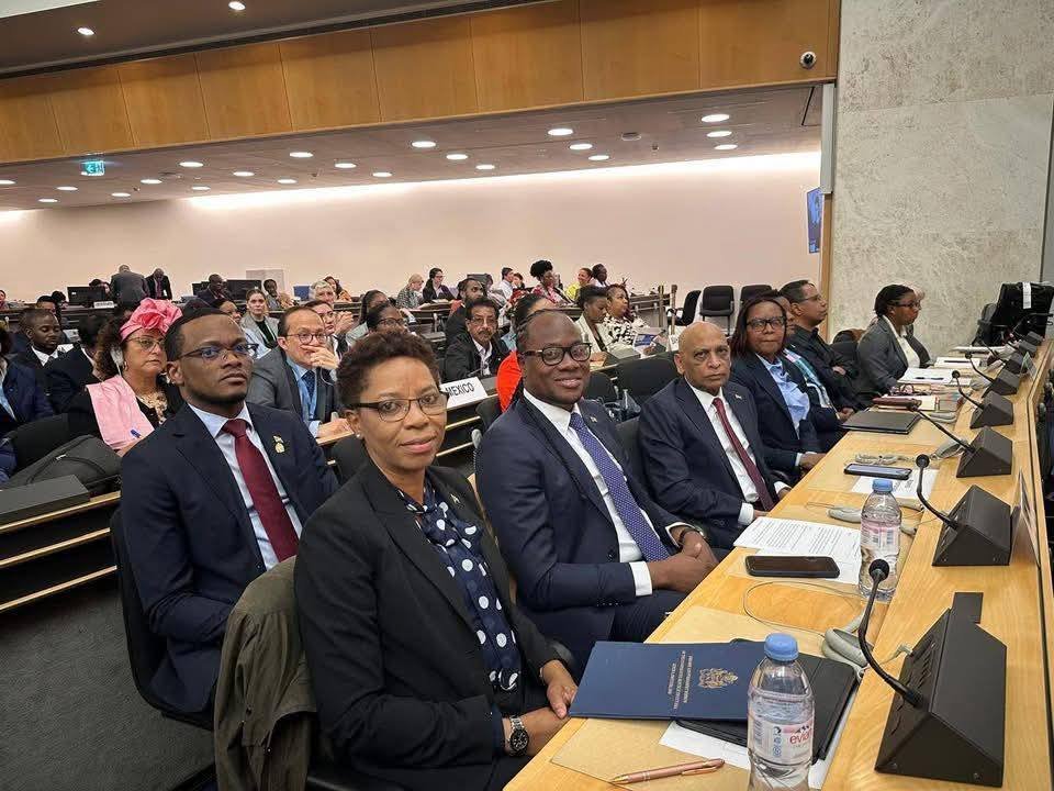 Guyana wants UN to be more responsive to needs of people of African descent