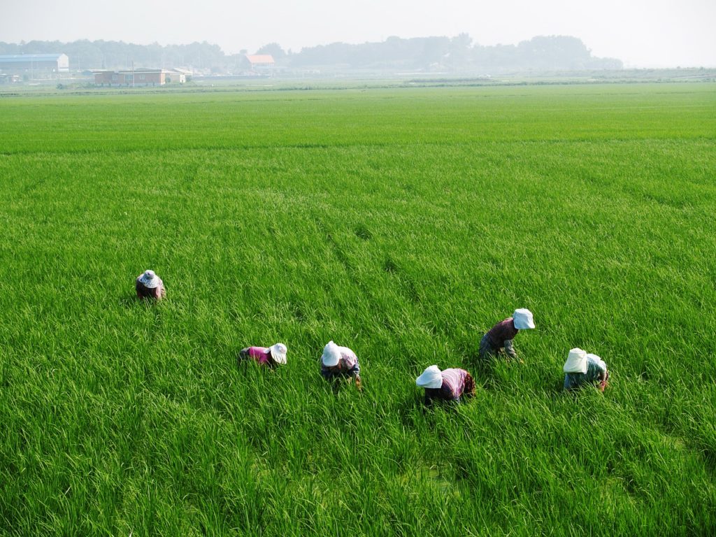 G/town Chamber urges farmers to use govt’s $3 billion support to boost productivity 
