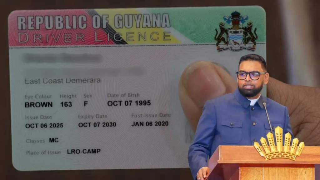 Authorities scrutinise 1,600 drivers’ licenses amid crackdown on irregularities