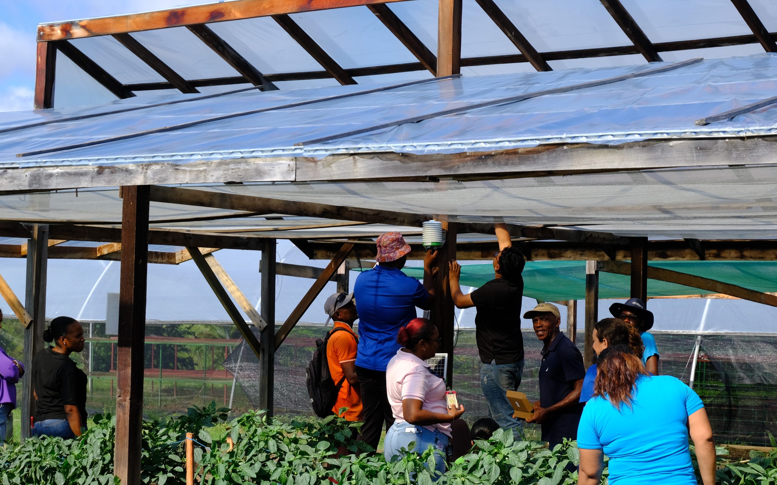 Over 90 trained in advancing climate-smart agriculture in Guyana