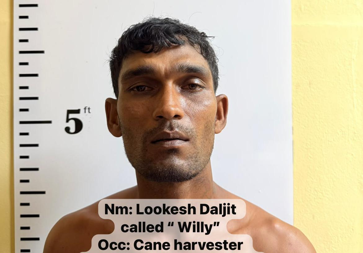 Blairmont cane harvester granted $250,000 bail on rape charge